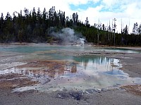 Yellowstone Norris Geyser (99).JPG
